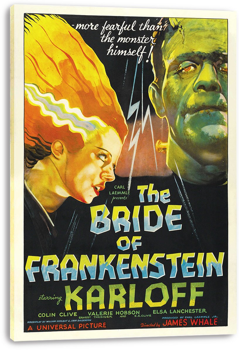 The Bride of Frankenstein Movie Poster Decorative Painting (paper and canvas) art poster printing print