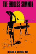 The Endless Summer Movie Decorative Painting (paper and canvas) art poster printing print