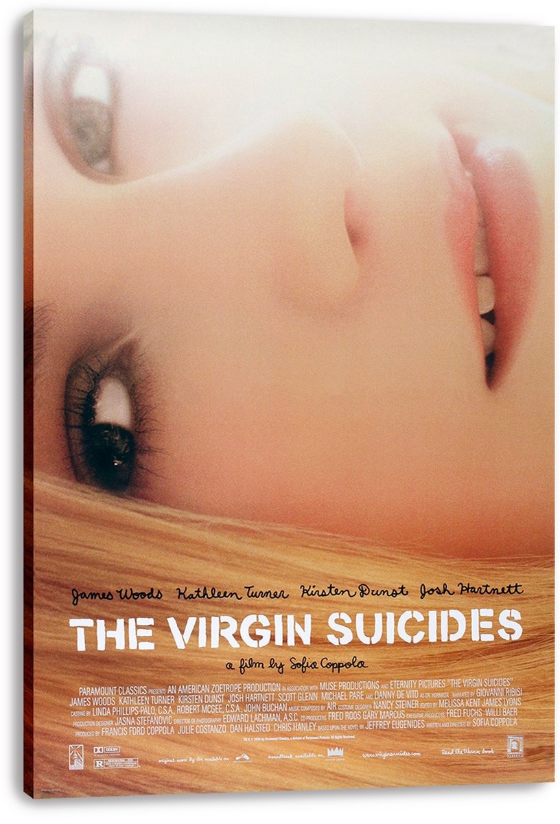 The Virgin Suicides Movie Poster Decorative Painting (paper and canvas) art poster printing print