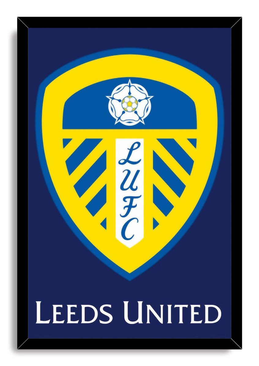 Leeds United Football Club Logo Decorative Painting (paper and canvas) art poster printing print