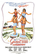 Gidget Goes Hawaiian Movie Poster Decorative Painting (paper and canvas) art poster printing print