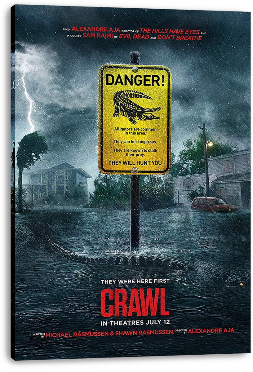 Crawl Movie Alligator Horror Flood Decorative Painting (paper and canvas) art poster printing print