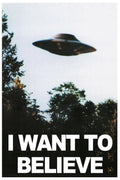 X-Files UFO I Want To Believe Decorative Painting (paper and canvas) art poster printing print