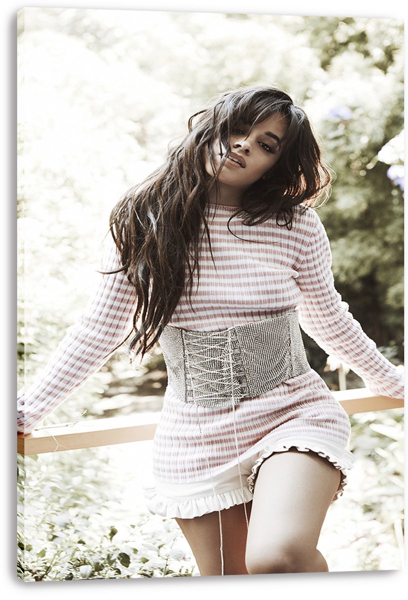 Camila Cabello Decorative Painting (paper and canvas) art poster printing print