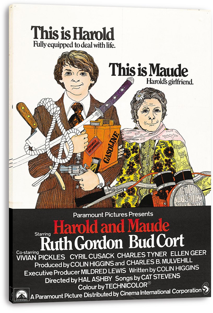 Harold and Maude Movie Poster Decorative Painting (paper and canvas) art poster printing print