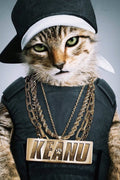 Hip-Hop Cat Keanu Decorative Painting (paper and canvas) art poster printing print