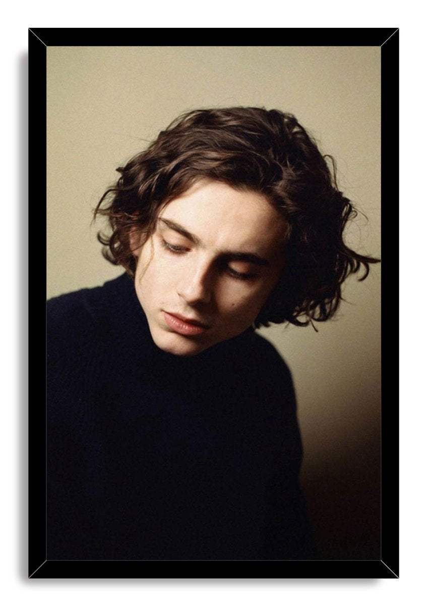 Timothée Chalamet Decorative Painting (paper and canvas) art poster printing print