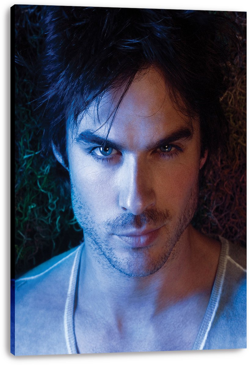 Ian Somerhalder Decorative Painting (paper and canvas) art poster printing print