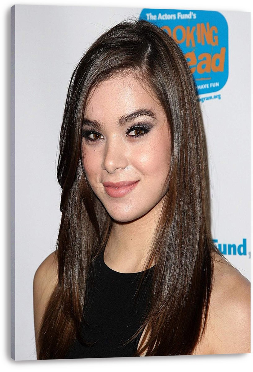 Hailee Steinfeld Decorative Painting (paper and canvas) art poster printing print