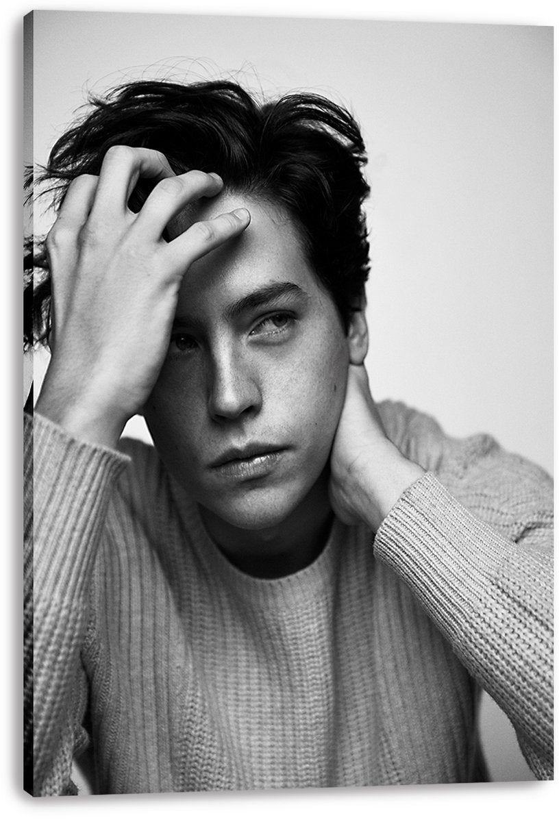 Cole Sprouse Decorative Painting (paper and canvas) art poster printing print