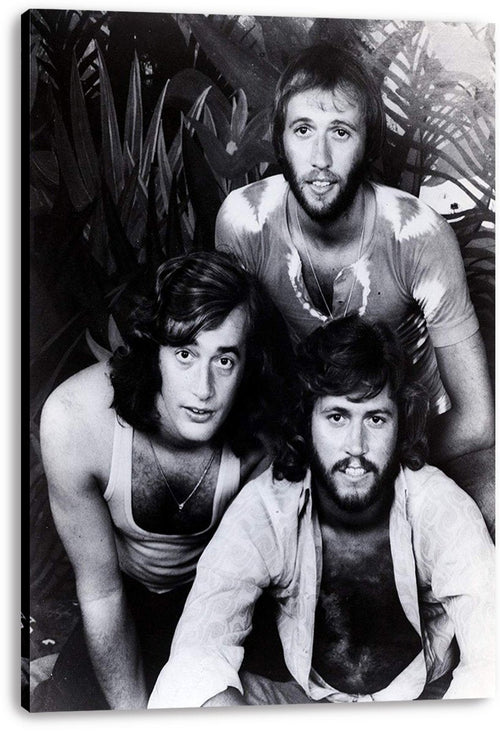 Bee Gees Decorative Painting (paper and canvas) art poster printing print