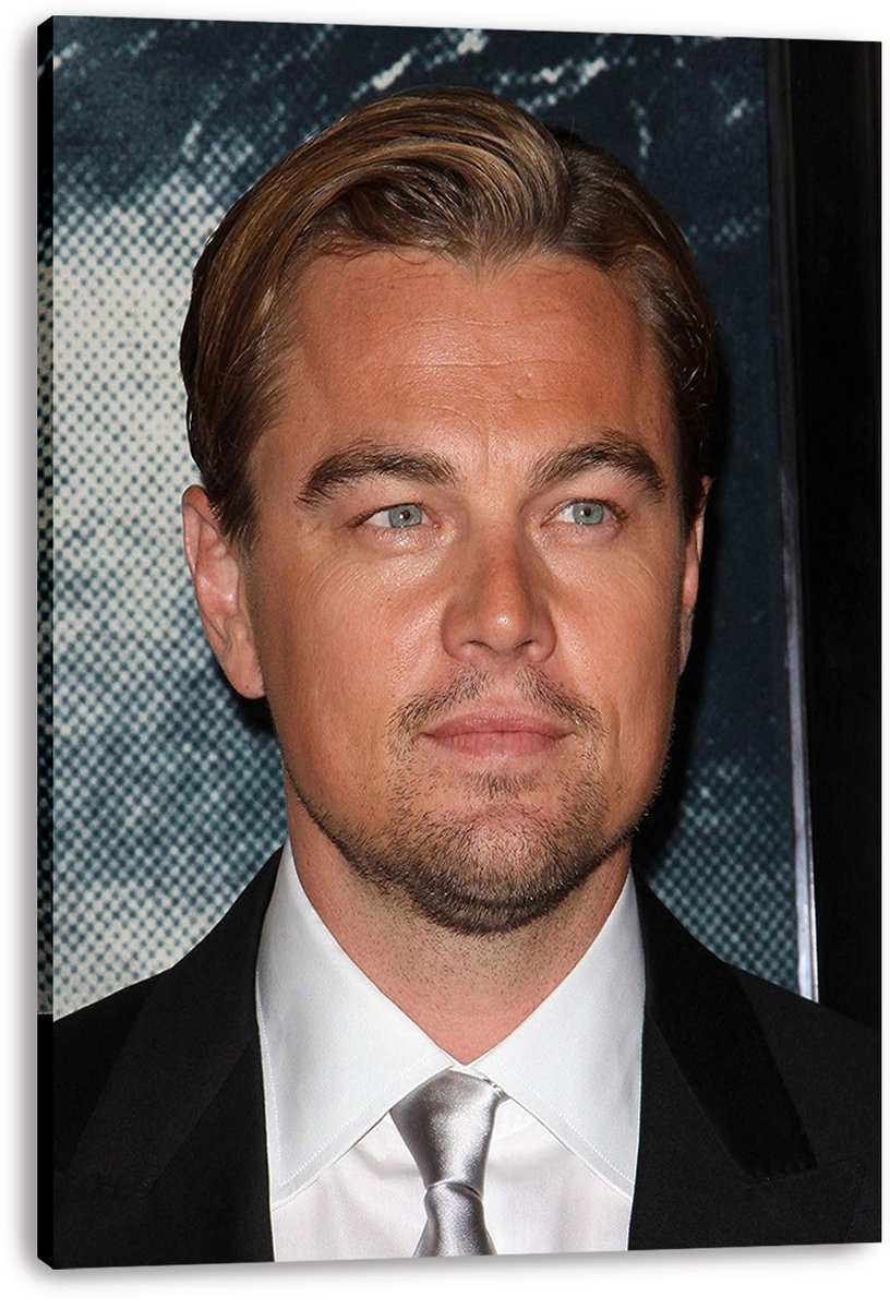 Leonardo DiCaprio Decorative Painting (paper and canvas) art poster printing print
