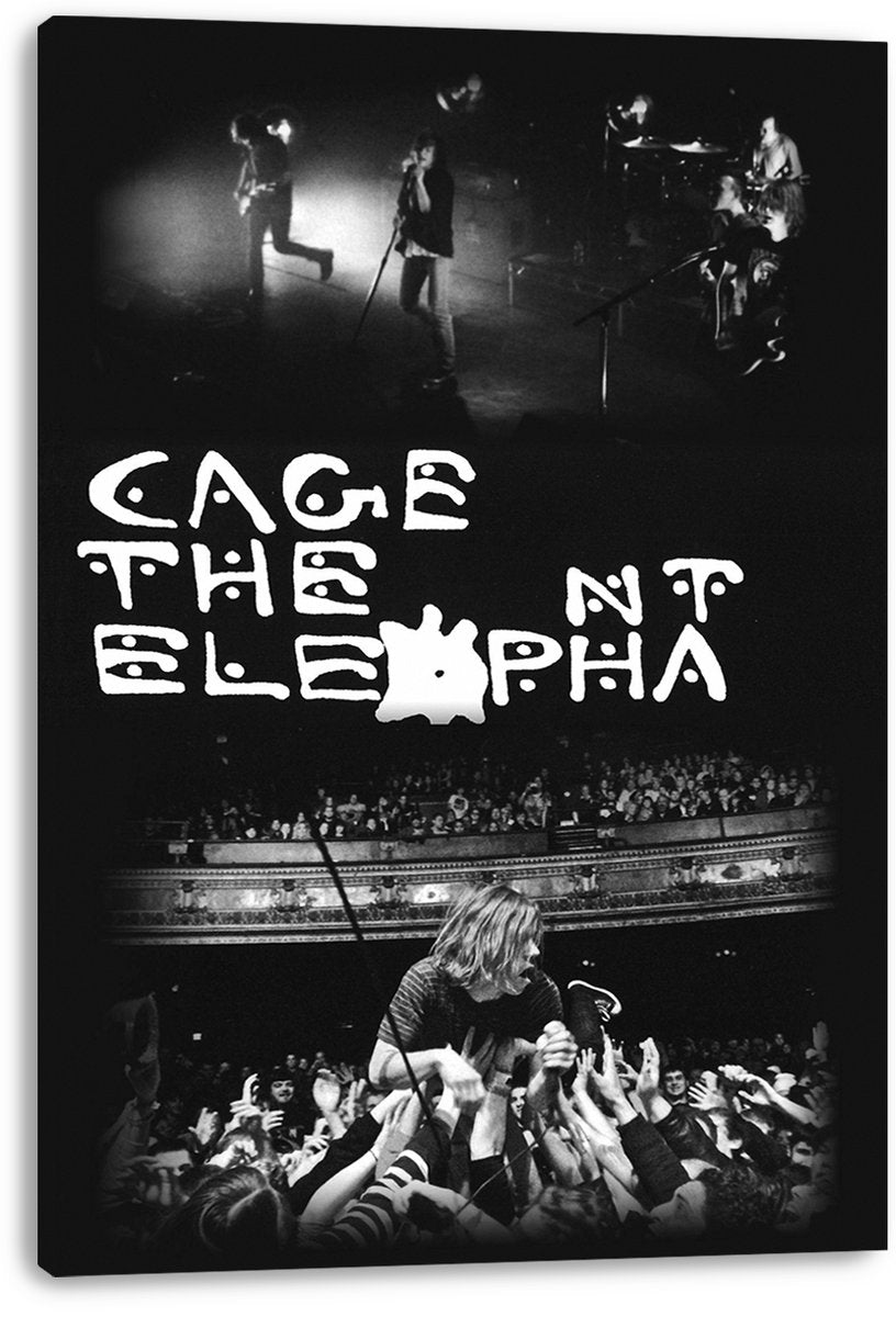 Cage the Elephant Live Concert Decorative Painting (paper and canvas) art poster printing print