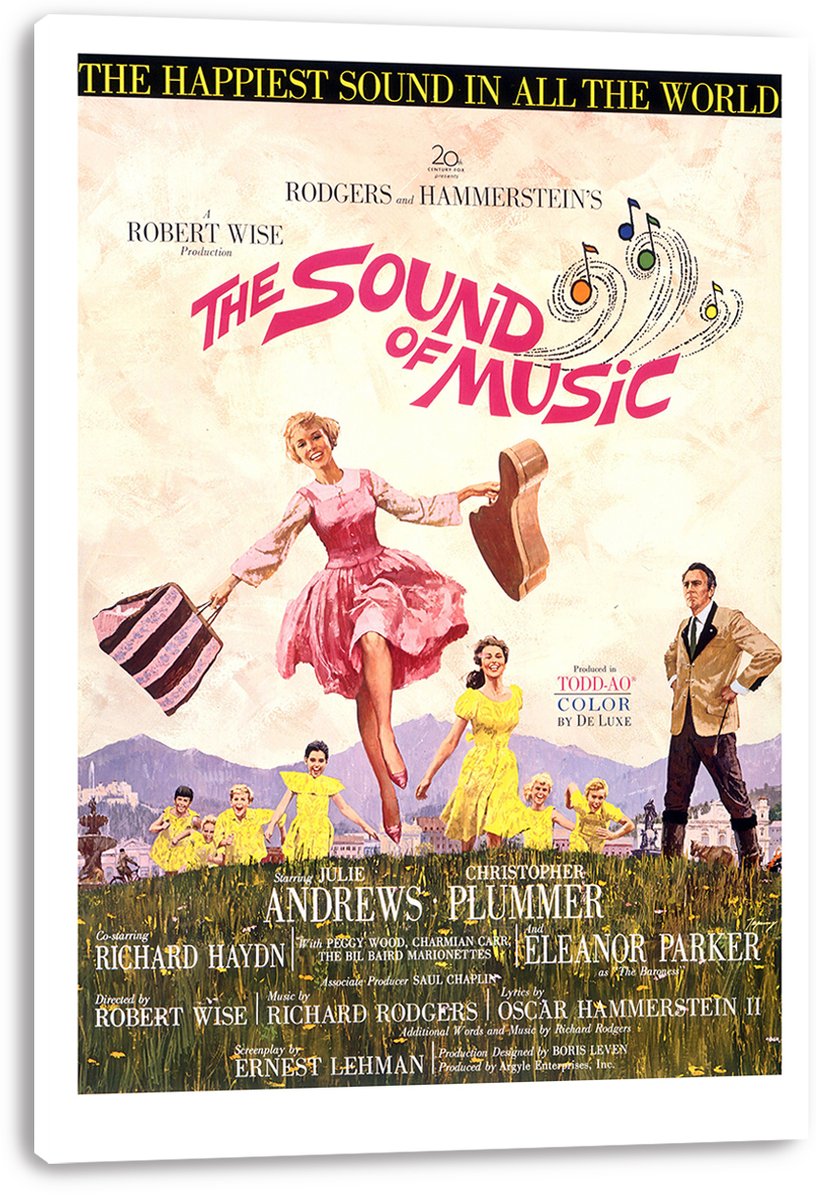 The Sound of Music Movie Poster Decorative Painting (paper and canvas) art poster printing print