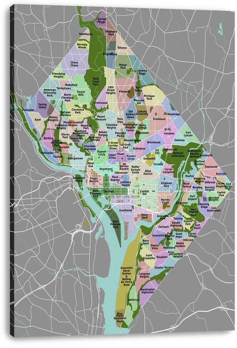 Washington D.C. Neighborhood Map Decorative Painting (paper and canvas) art poster printing print