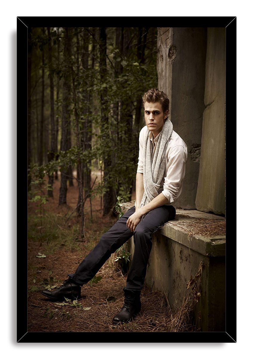 Paul Wesley Decorative Painting (paper and canvas) art poster printing print