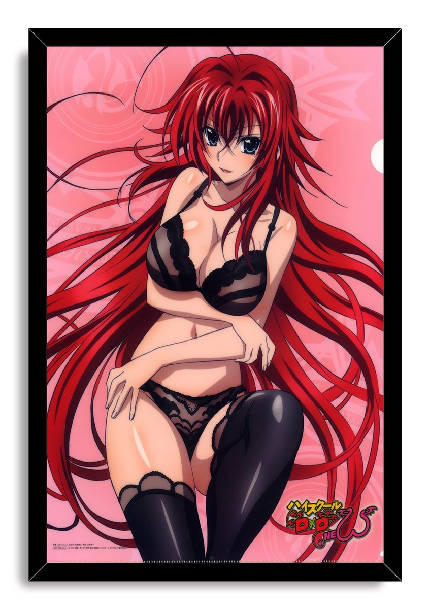 Rias Gremory High School DxD Anime Girl Decorative Painting (paper and canvas) art poster printing print