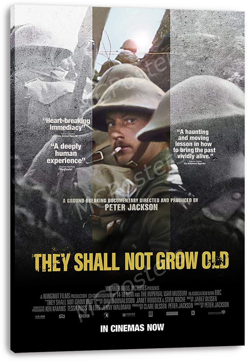 They Shall Not Grow Old Movie Poster WWI Soldiers Decorative Painting (paper and canvas) art poster printing print