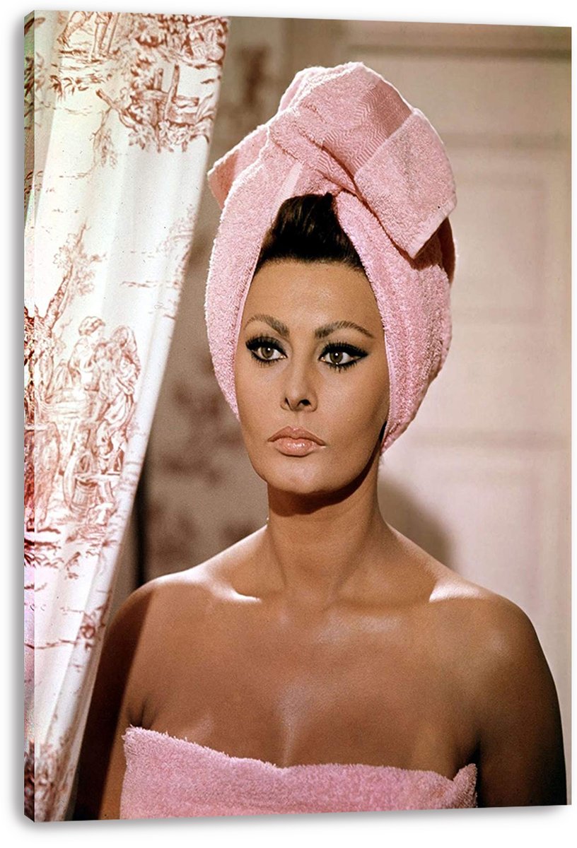 Sophia Loren Decorative Painting (paper and canvas) art poster printing print