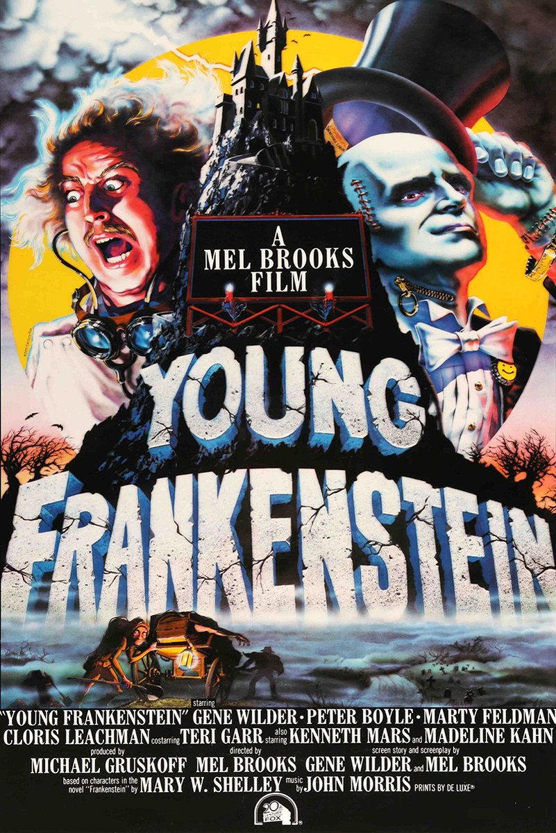 Young Frankenstein Movie Poster Decorative Painting (paper and canvas) art poster printing print
