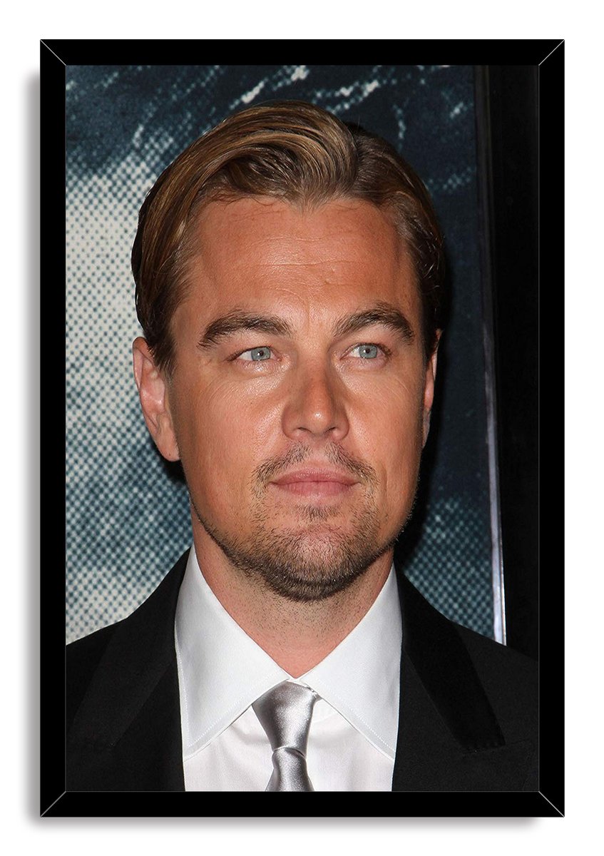 Leonardo DiCaprio Decorative Painting (paper and canvas) art poster printing print