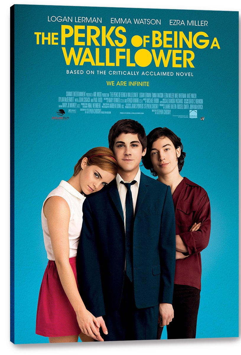 The Perks of Being a Wallflower Movie Decorative Painting (paper and canvas) art poster printing print