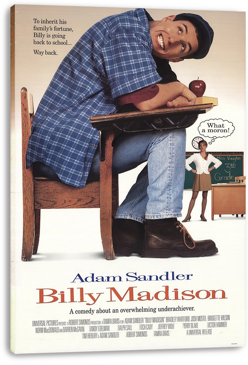 Adam Sandler Billy Madison Decorative Painting (paper and canvas) art poster printing print