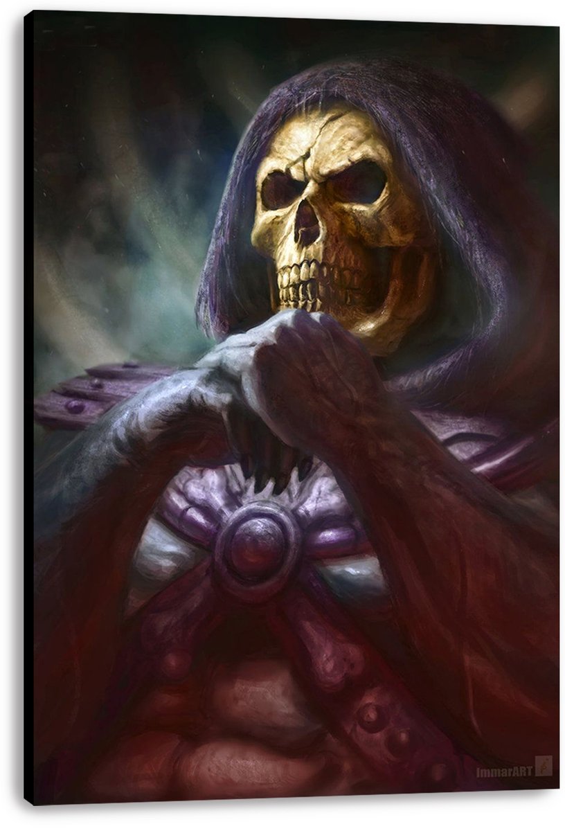 Skeletor Decorative Painting (paper and canvas) art poster printing print