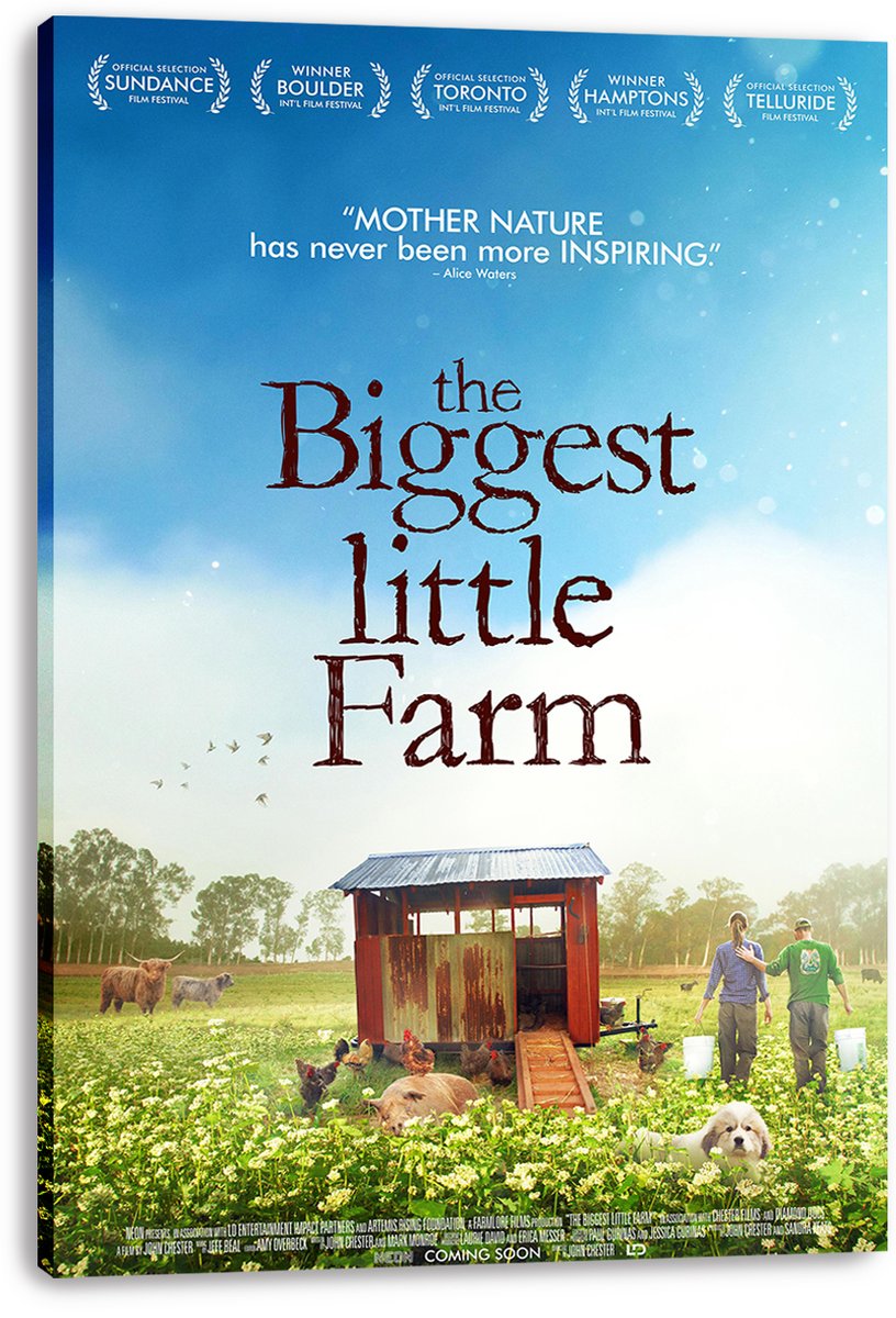 The Biggest Little Farm Decorative Painting (paper and canvas) art poster printing print