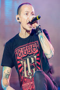 Chester Bennington Decorative Painting (paper and canvas) art poster printing print