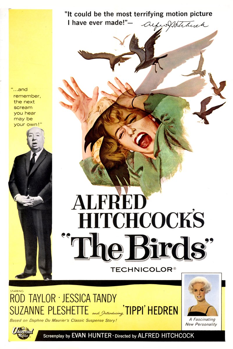 Alfred Hitchcock's The Birds Movie Poster Decorative Painting (paper and canvas) art poster printing print