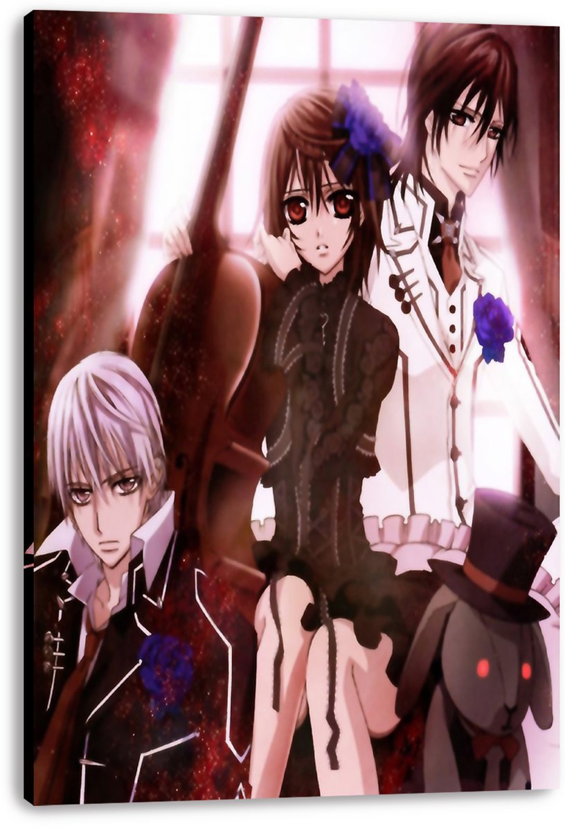 Vampire Knight Trio Decorative Painting (paper and canvas) art poster printing print