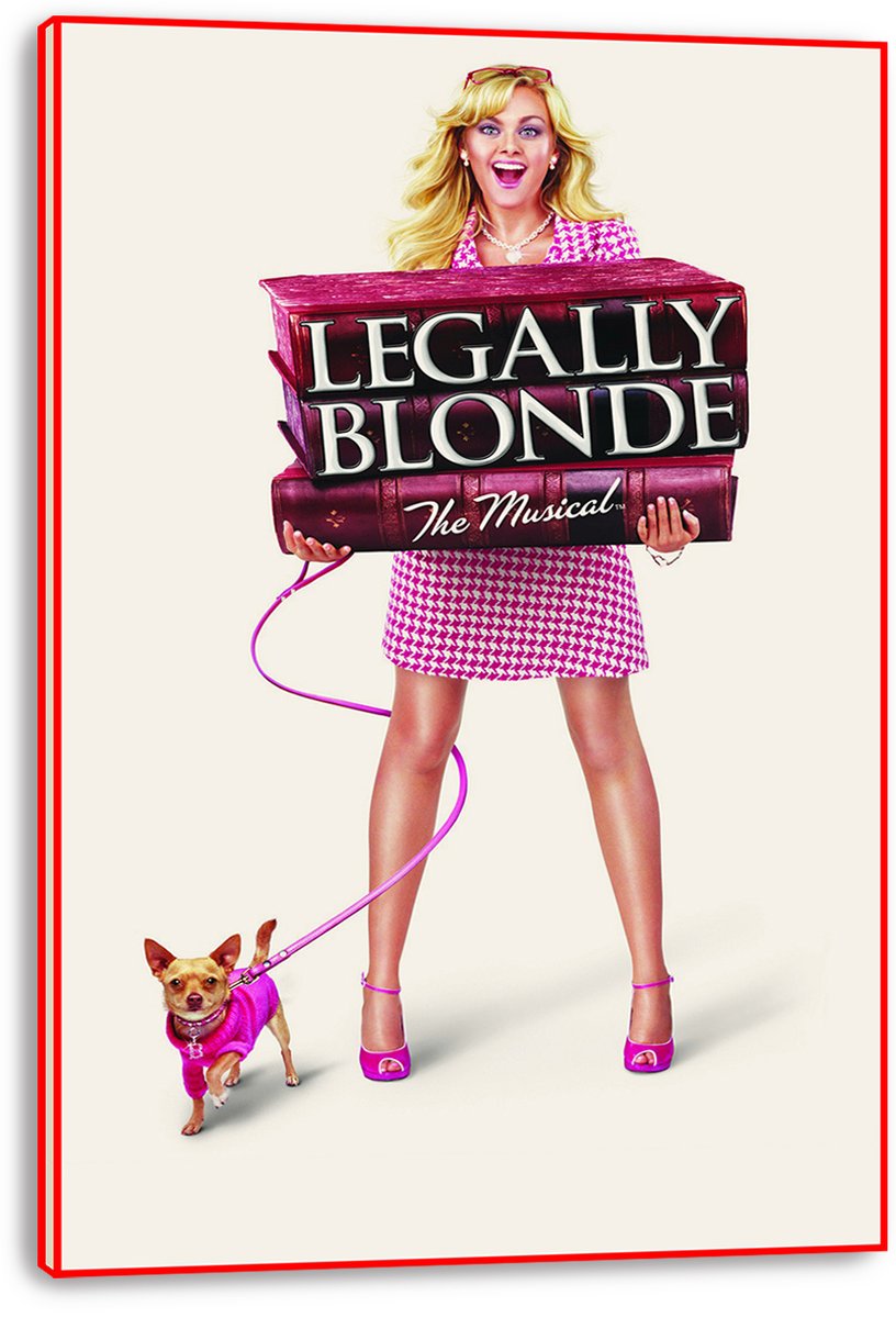 Legally Blonde The Musical Decorative Painting (paper and canvas) art poster printing print