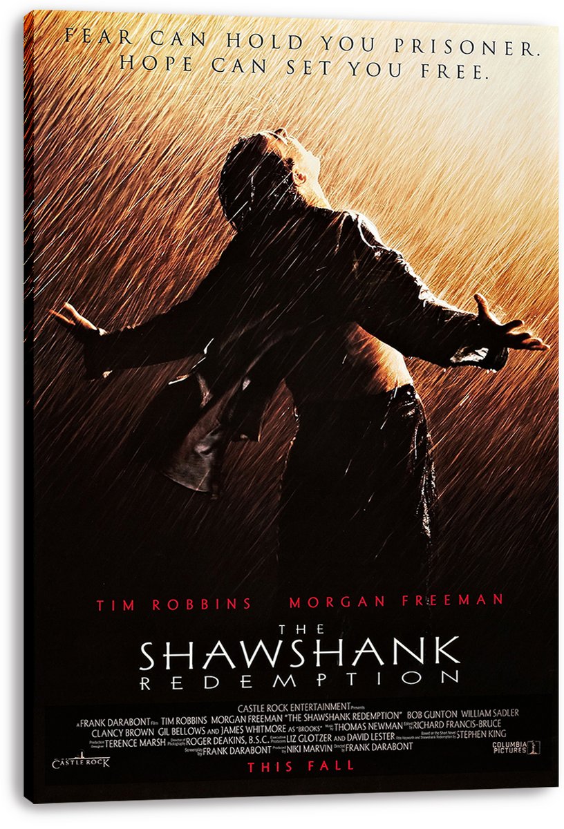 The Shawshank Redemption Andy Dufresne Decorative Painting (paper and canvas) art poster printing print