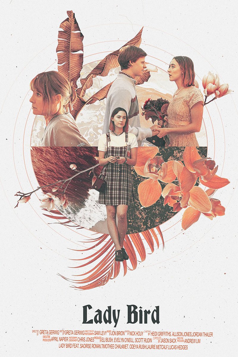 Lady Bird Movie Decorative Painting (paper and canvas) art poster printing print