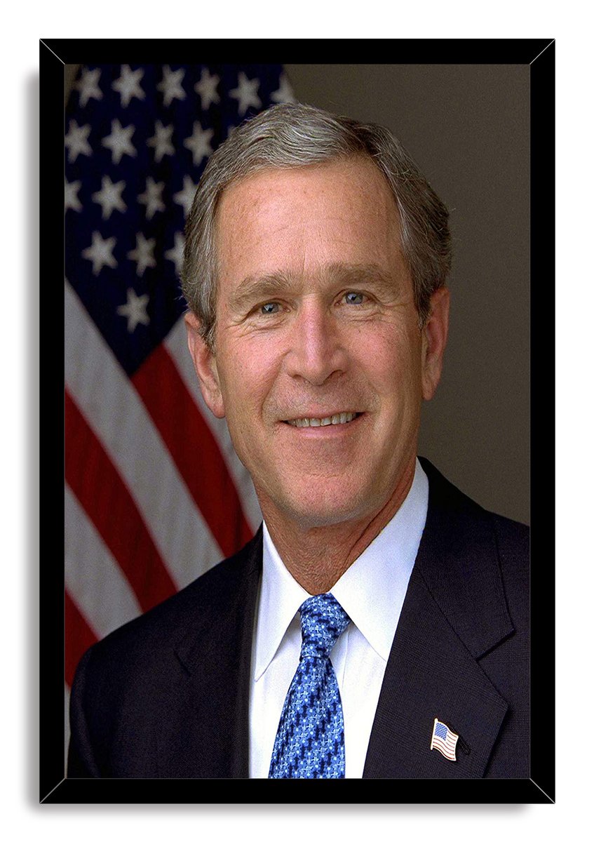 George W. Bush Decorative Painting (paper and canvas) art poster printing print