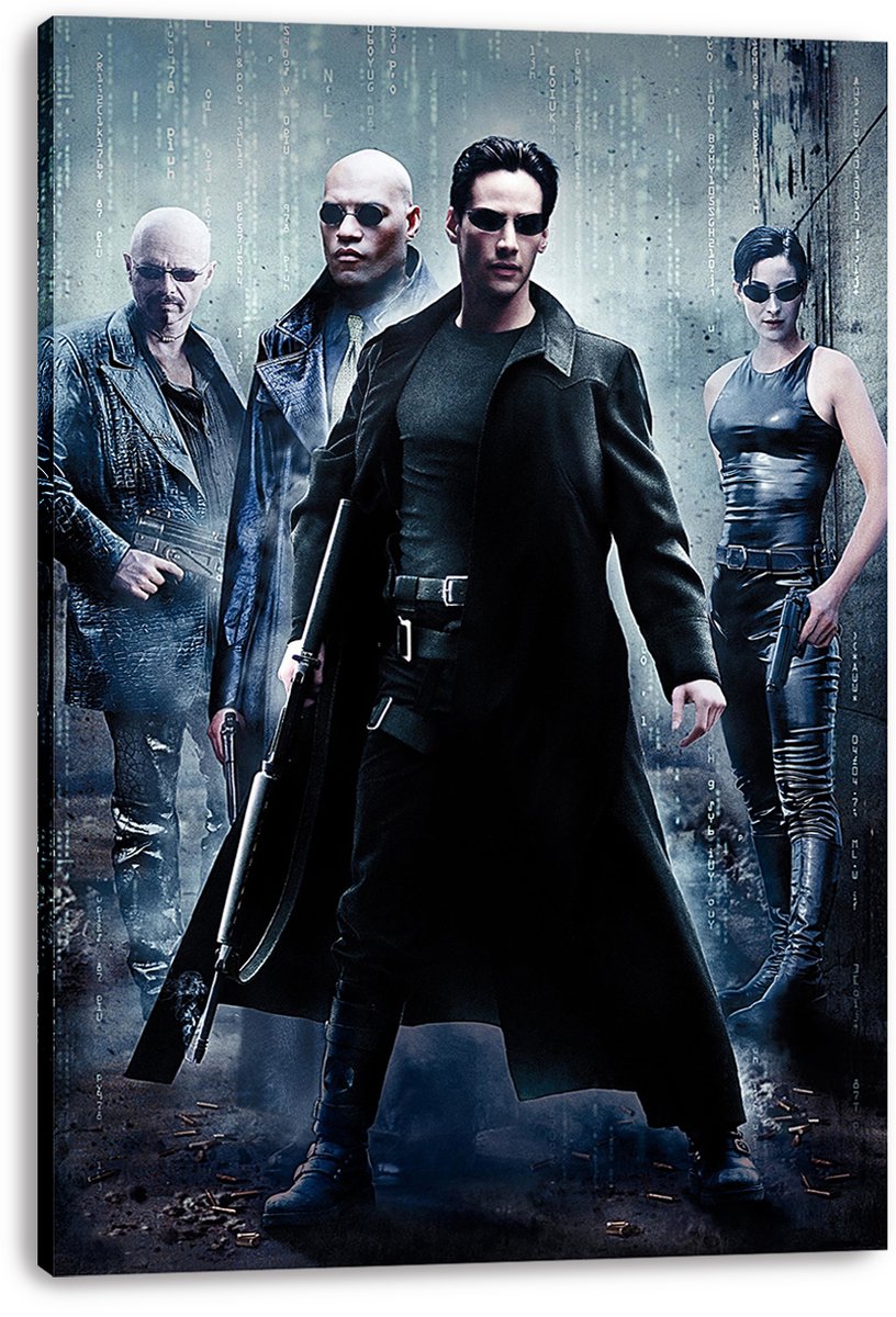 The Matrix Movie Decorative Painting (paper and canvas) art poster printing print