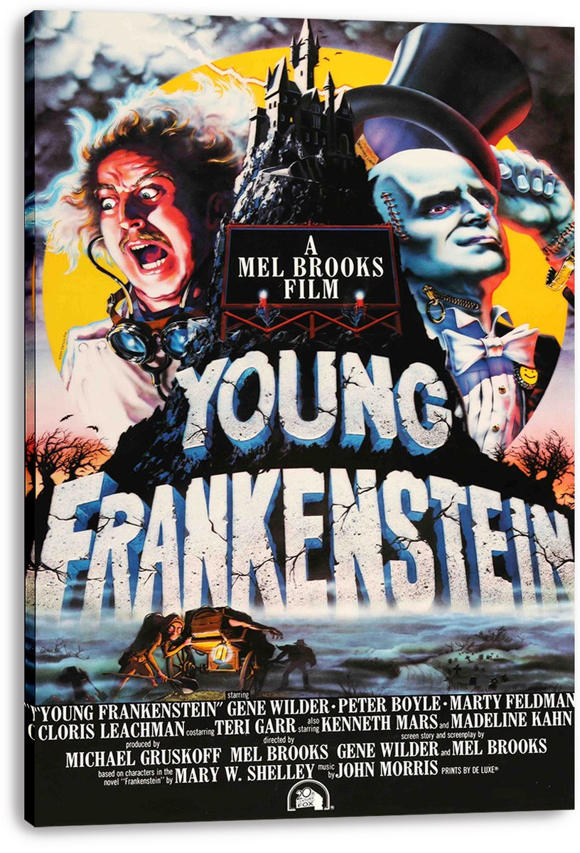 Young Frankenstein Movie Decorative Painting (paper and canvas) art poster printing print