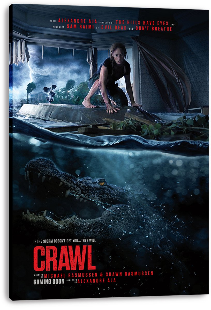 Crawl Movie Decorative Painting (paper and canvas) art poster printing print
