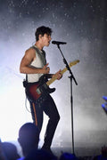Shawn Mendes Decorative Painting (paper and canvas) art poster printing print