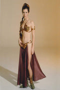 Princess Leia Decorative Painting (paper and canvas) art poster printing print