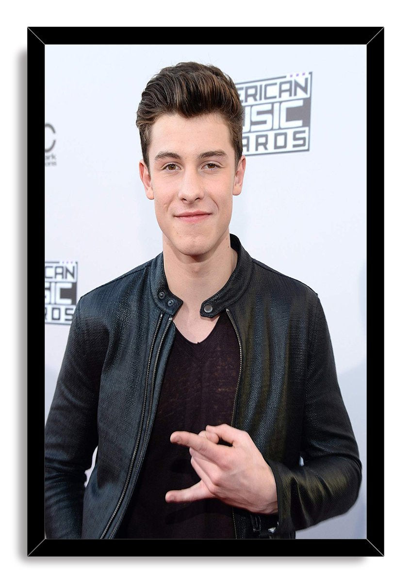Shawn Mendes Decorative Painting (paper and canvas) art poster printing print