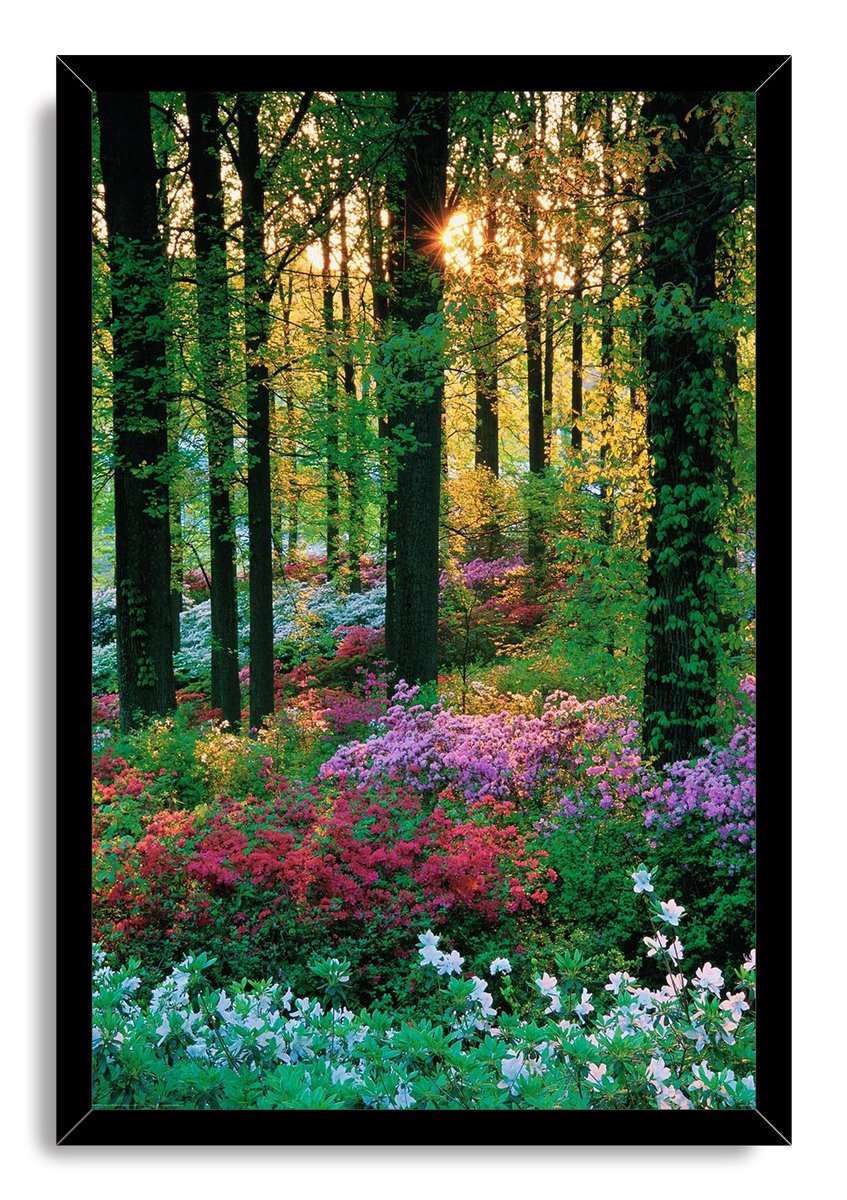 Lush Forest Bloom Decorative Painting (paper and canvas) art poster printing print