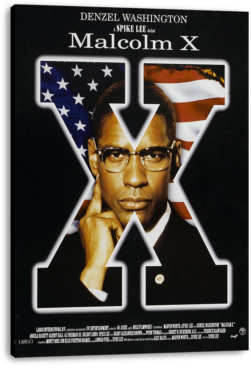 Malcolm X Movie Poster Decorative Painting (paper and canvas) art poster printing print