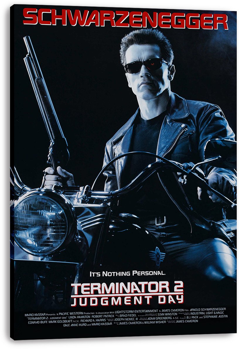 Terminator 2 Arnold Schwarzenegger Decorative Painting (paper and canvas) art poster printing print