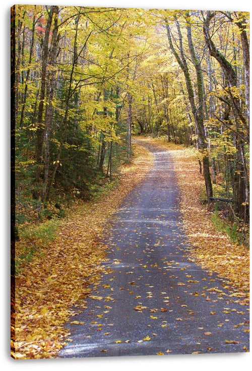 Autumn Forest Path Decorative Painting (paper and canvas) art poster printing print
