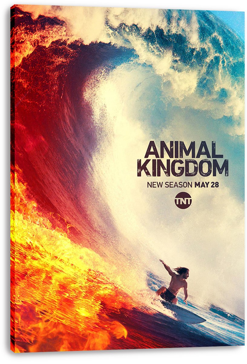 Animal Kingdom Fire and Water Wave Surfer Decorative Painting (paper and canvas) art poster printing print