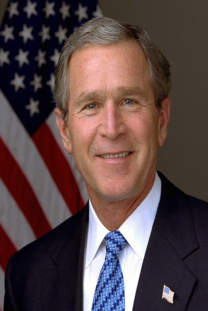 George W. Bush Decorative Painting (paper and canvas) art poster printing print