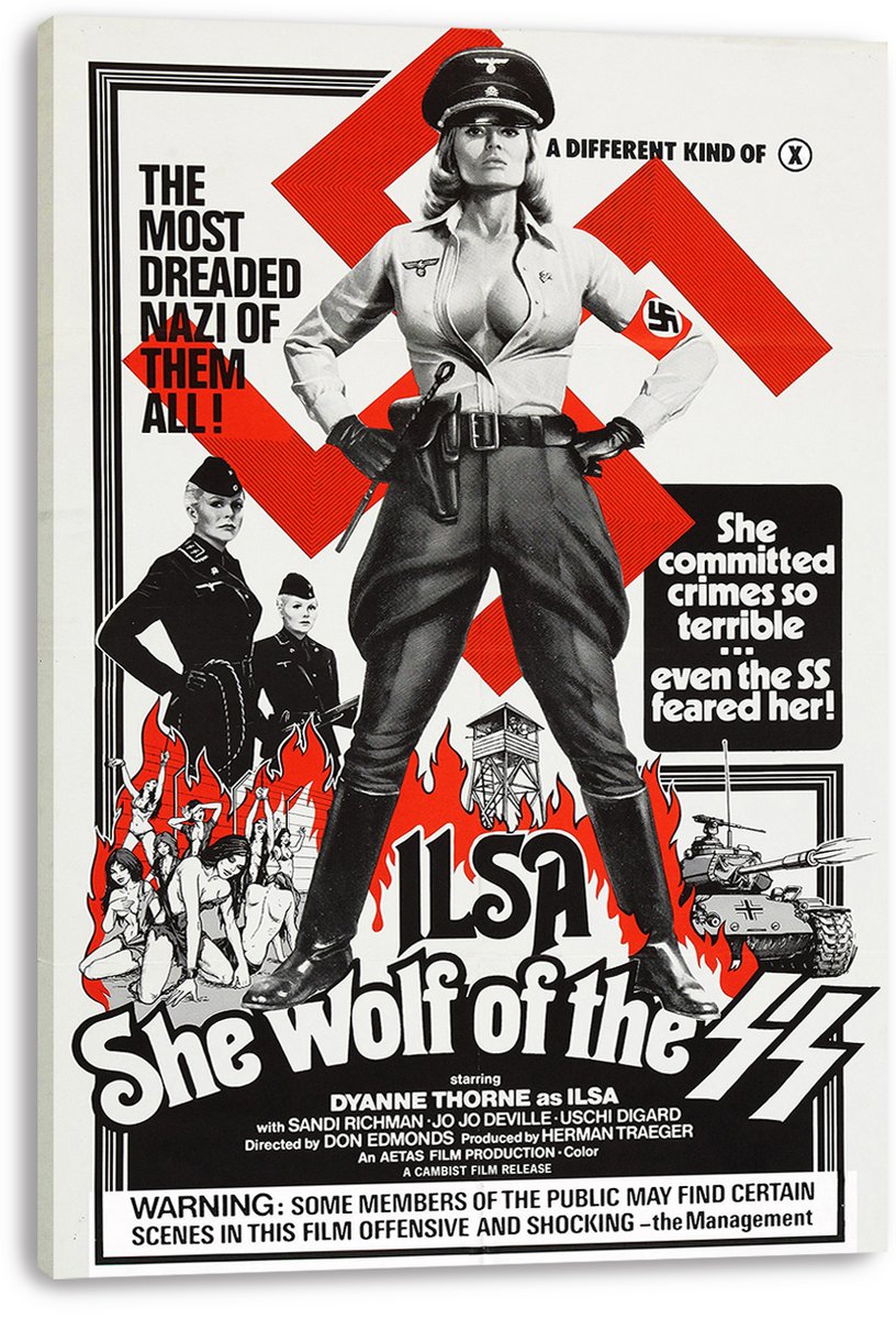 Ilsa She Wolf of the SS Movie Poster Decorative Painting (paper and canvas) art poster printing print
