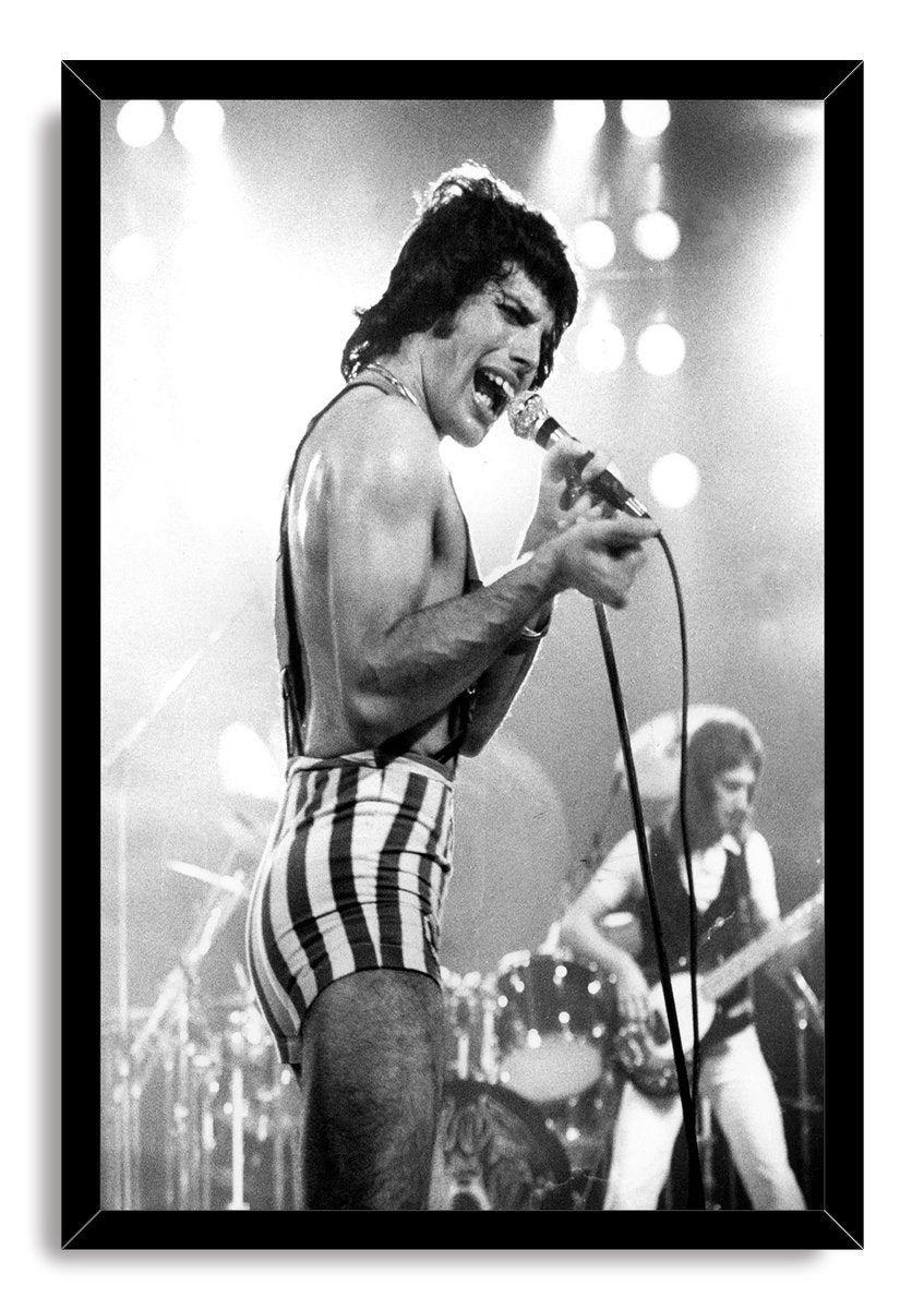Freddie Mercury Decorative Painting (paper and canvas) art poster printing print